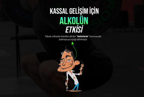 ALKOL SİTE
