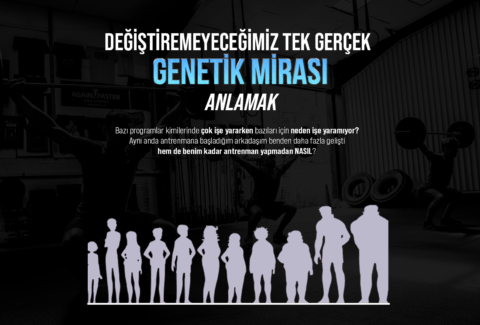 genetik site