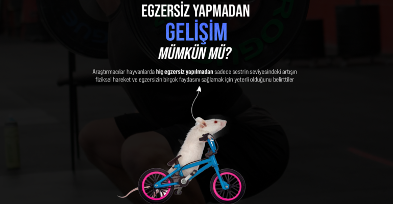 EGZERSİZ YAPMADAN SİTE