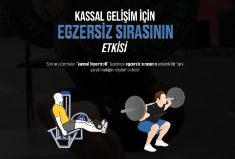 egzersiz sırası site