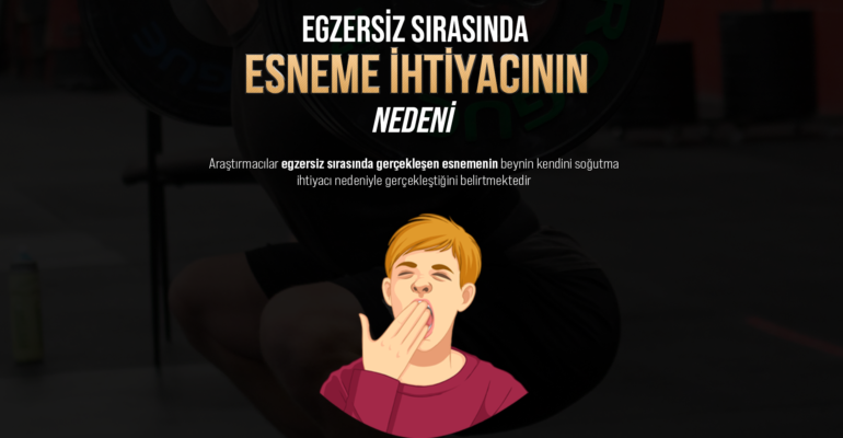 esneme site