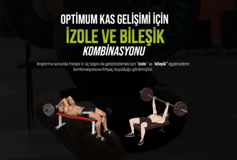 izole bileşik site