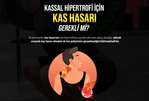 kas hasari site