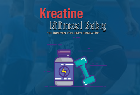kreatin site