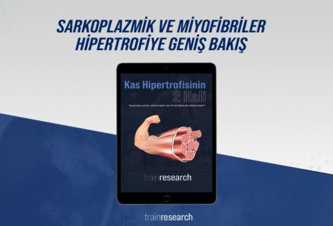 yeni site