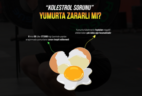 yumurta site